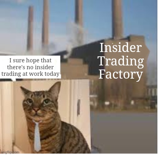 cat wearing a tie contemplating its job at the insider trading factory