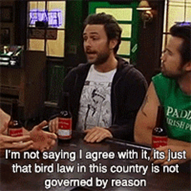 bird law