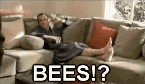bees?