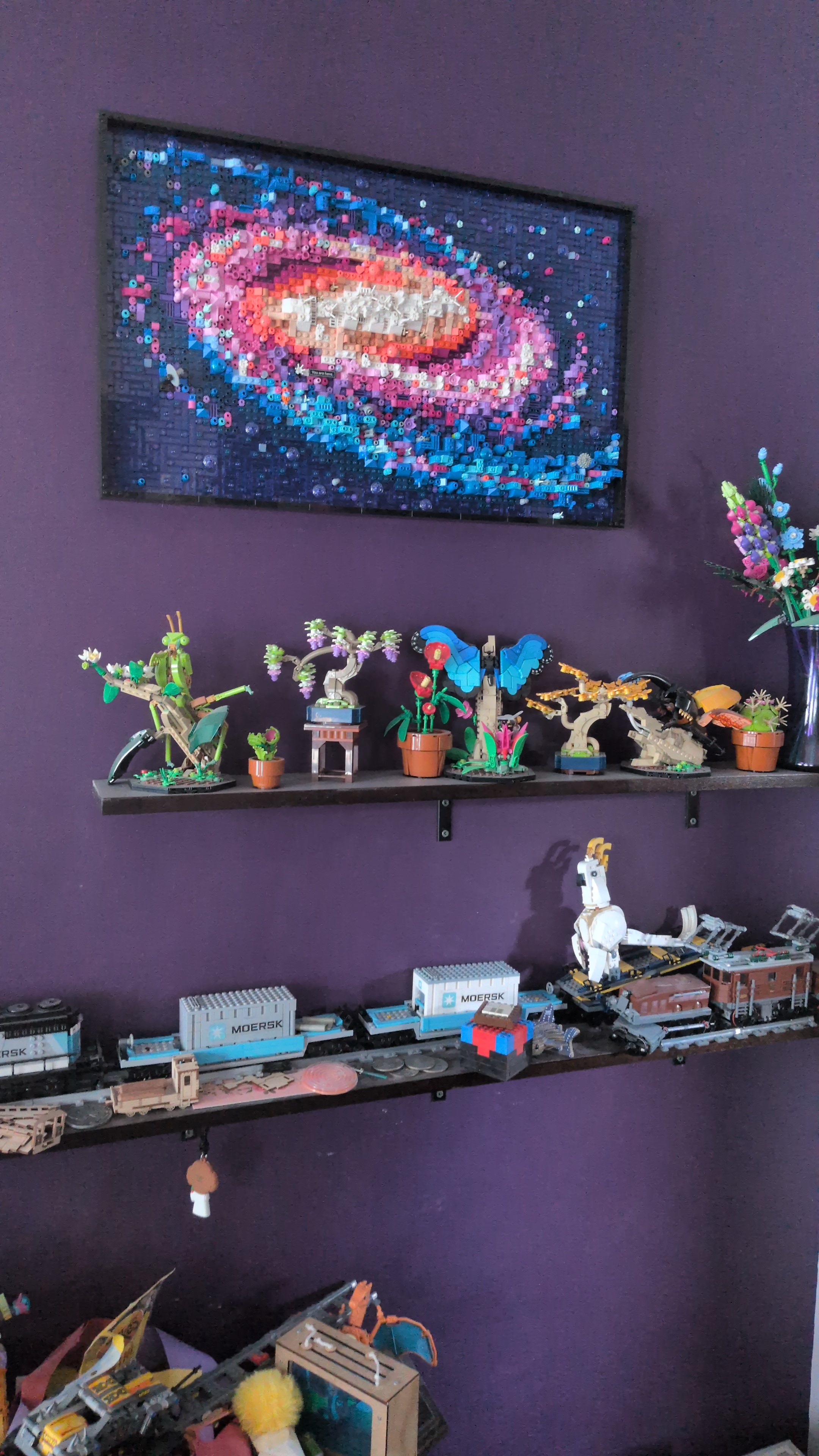 Shelves