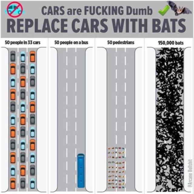 Bats