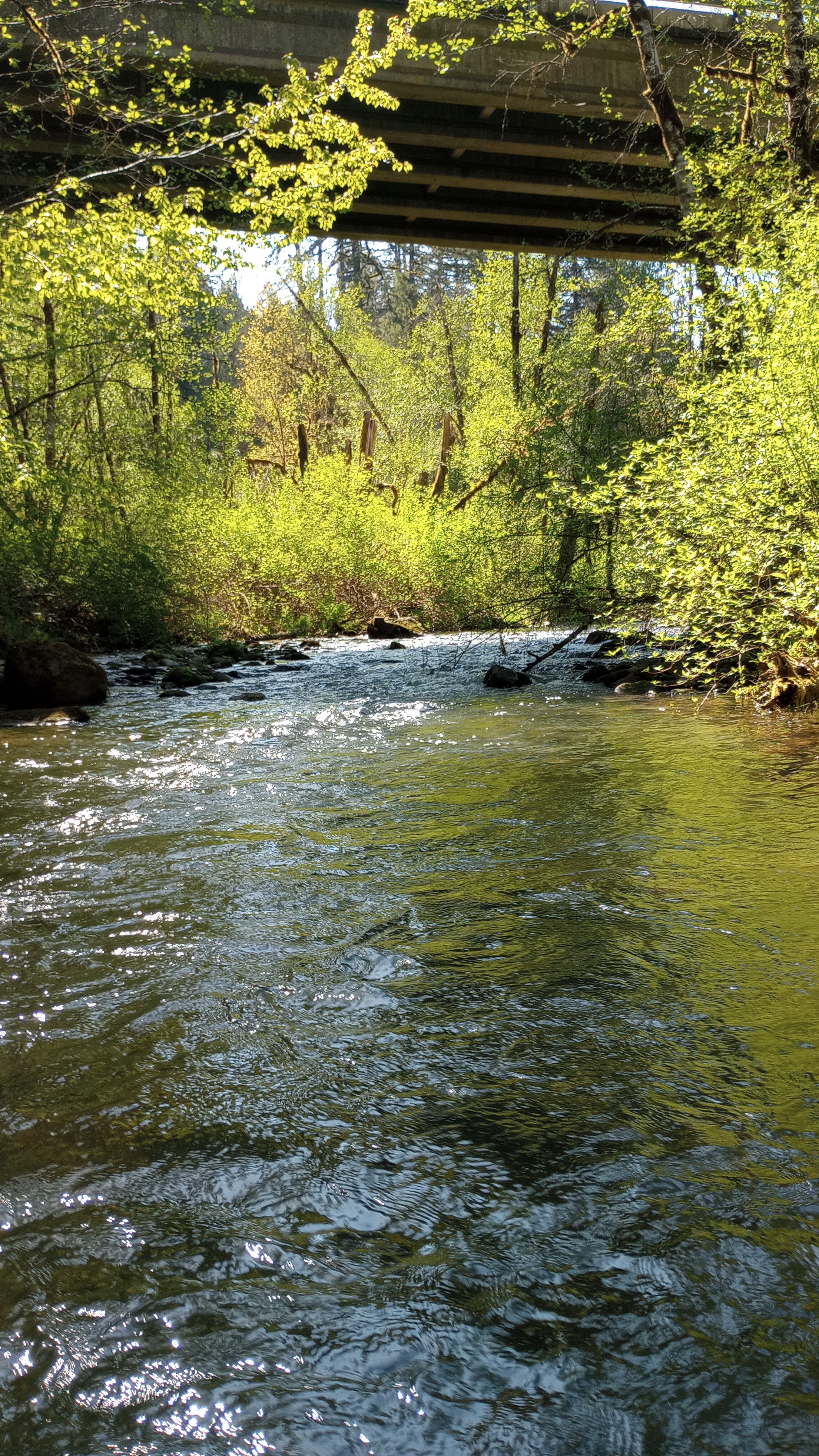 Looking upstream under a bridge