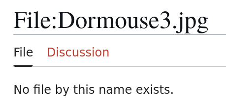 No file by this name exists.