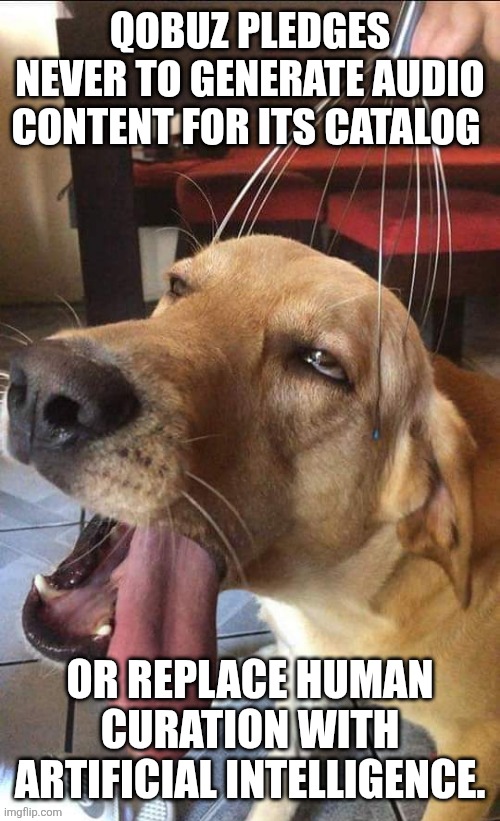 dog enjoying head massage wit caption "Qobuz pledges never to generate audio content for its catalog or replace human curation with artificial intelligence."
