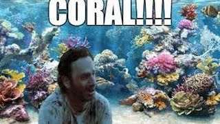 coral