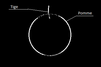 Sur un fond noir, il y a un cercle transparent avec une bordure blanche avec un label "Pomme", et un trait sur le haut avec un label "Tige"