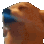 emoji dogjam dog jam