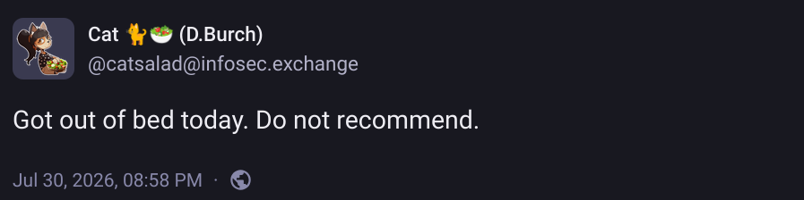 a mastodon bost by Cat 🐈️🥗 (D.Burch) [@catsalad@infosec.exchange]: Got out of bed today. Do not recommend.