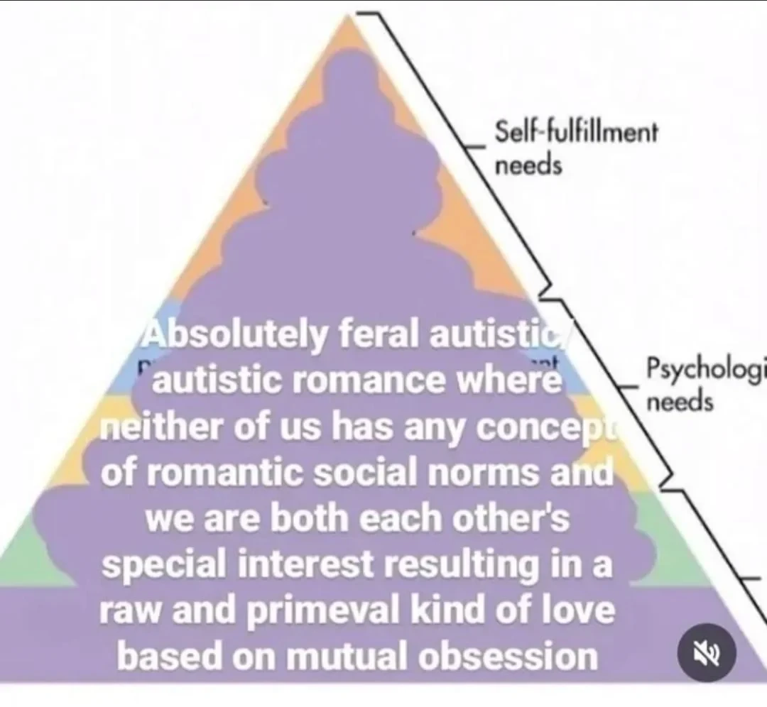 transcription: absolutely feral autistic autistic romance where neither of us has any concept of romantic social normal and we are both each others special interest resulting in a raw and primeval kind of love based on mutual obsession 