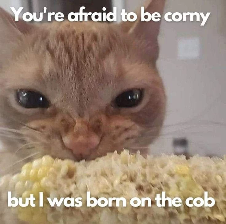 An orange cat with the words "You're afraid to be corny" above them and "but I was born on the cob" below them. They are eating corn directly off of the cob.