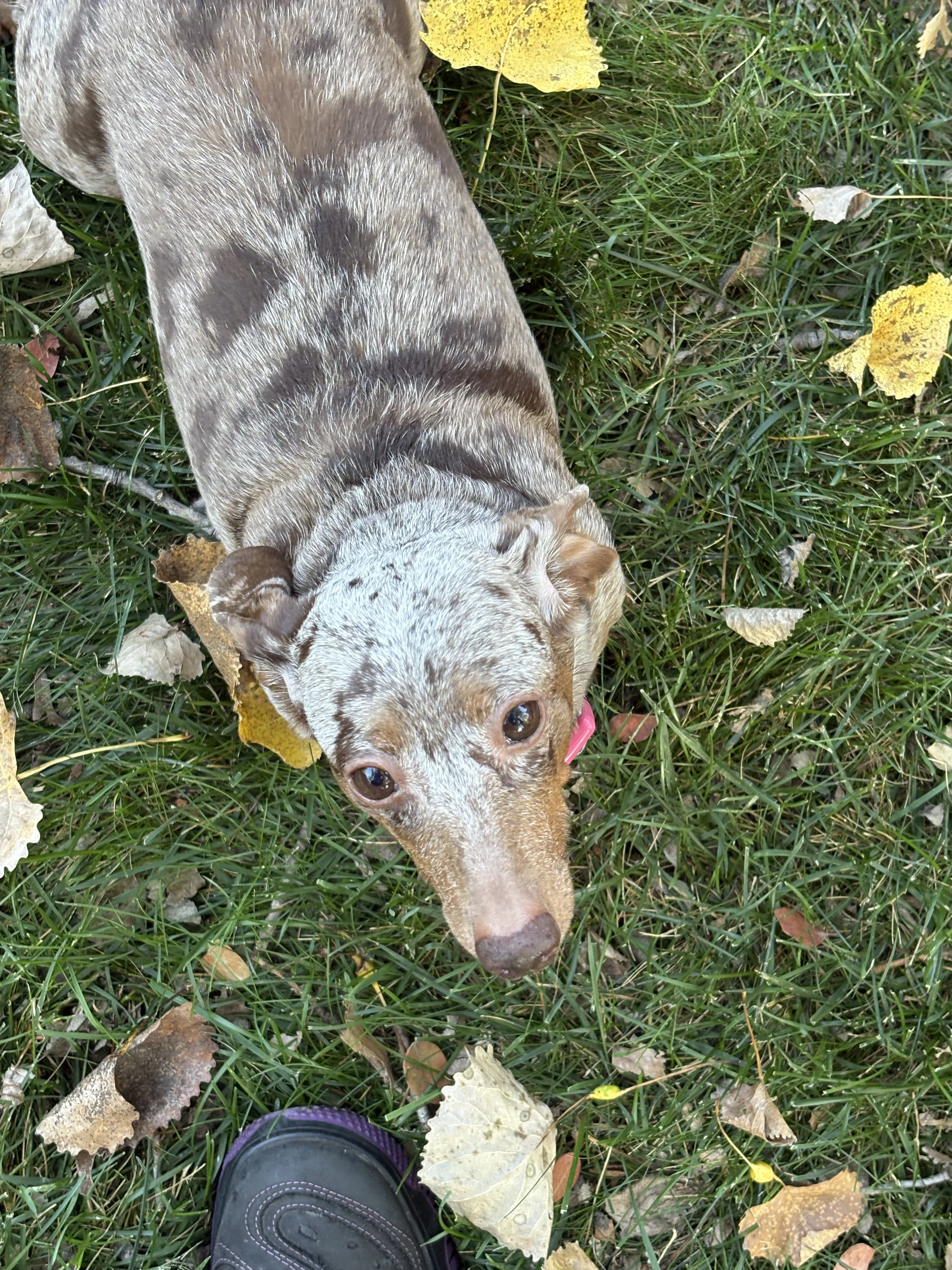 And Luna! 