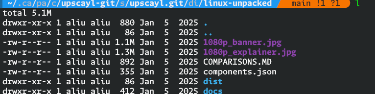 ls -l shows it's not a symlink
