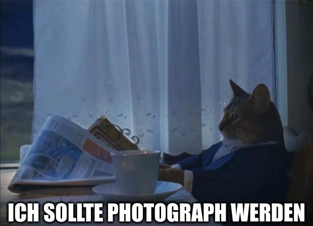 Katzen-Meme mit dem Text "Ich sollte Photograph werden"