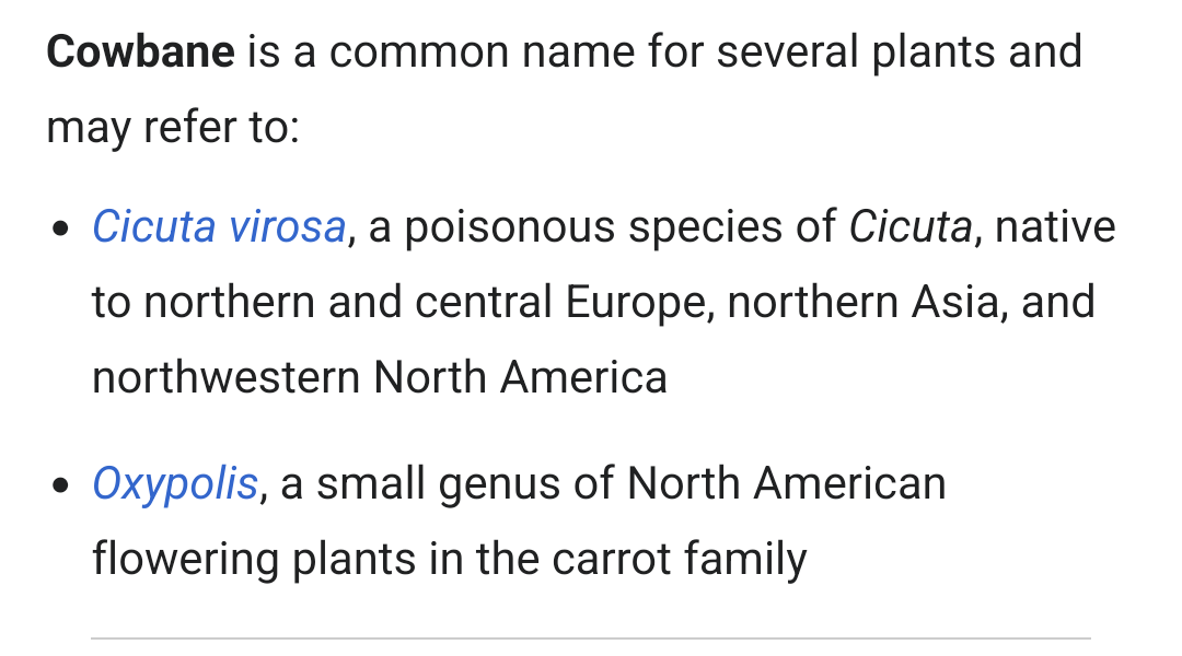 Screenshot from Wikipedia, which reads: "Cowbane is a common name for several plants and may refer to: 1) Cicuta virosa, a poisonous species of Cicuta, native to northern and central Europe, northern Asia, and northwestern North America. 2) Oxypolis, a small genus of North American flowering plants in the carrot family."
