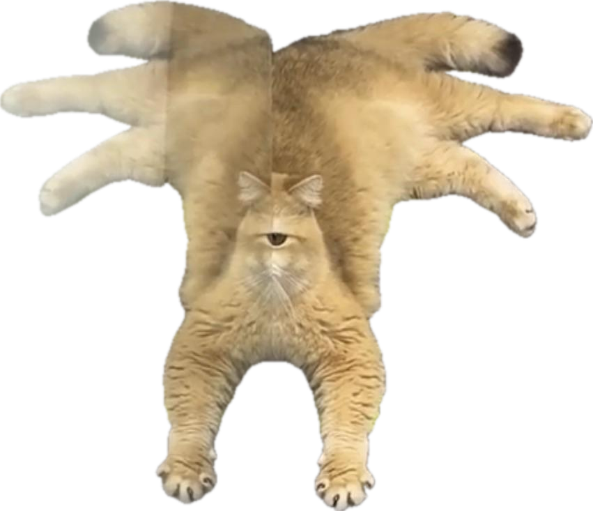 catclops