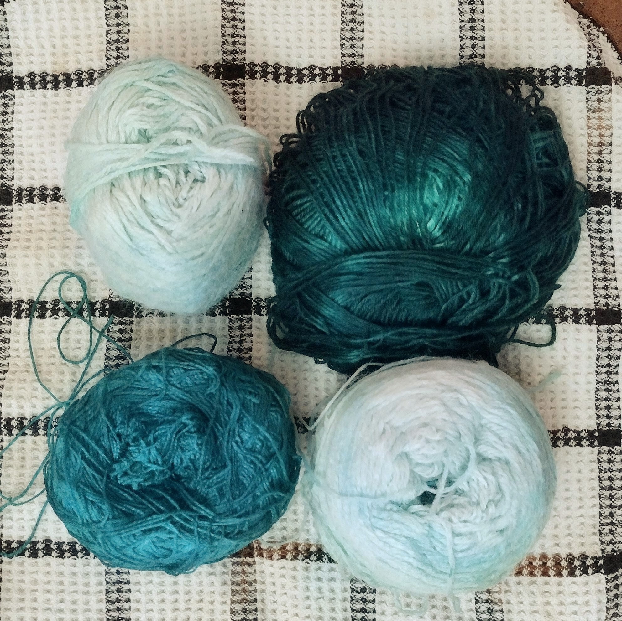 Four cakes of yarn dyed different hues of green sitting on a dish cloth.