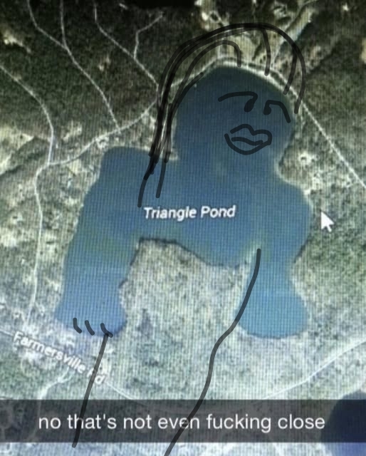 Dressed up pond