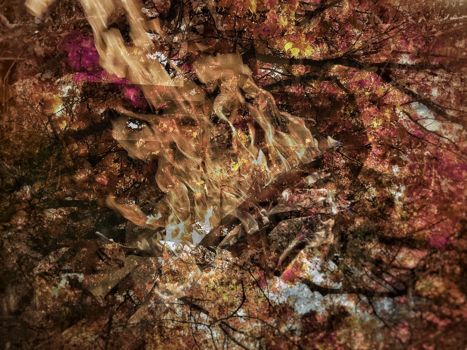 An afterimage of the crucifixion superimposed over fire and autumnal foliage 