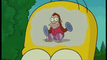 monkey cymbals