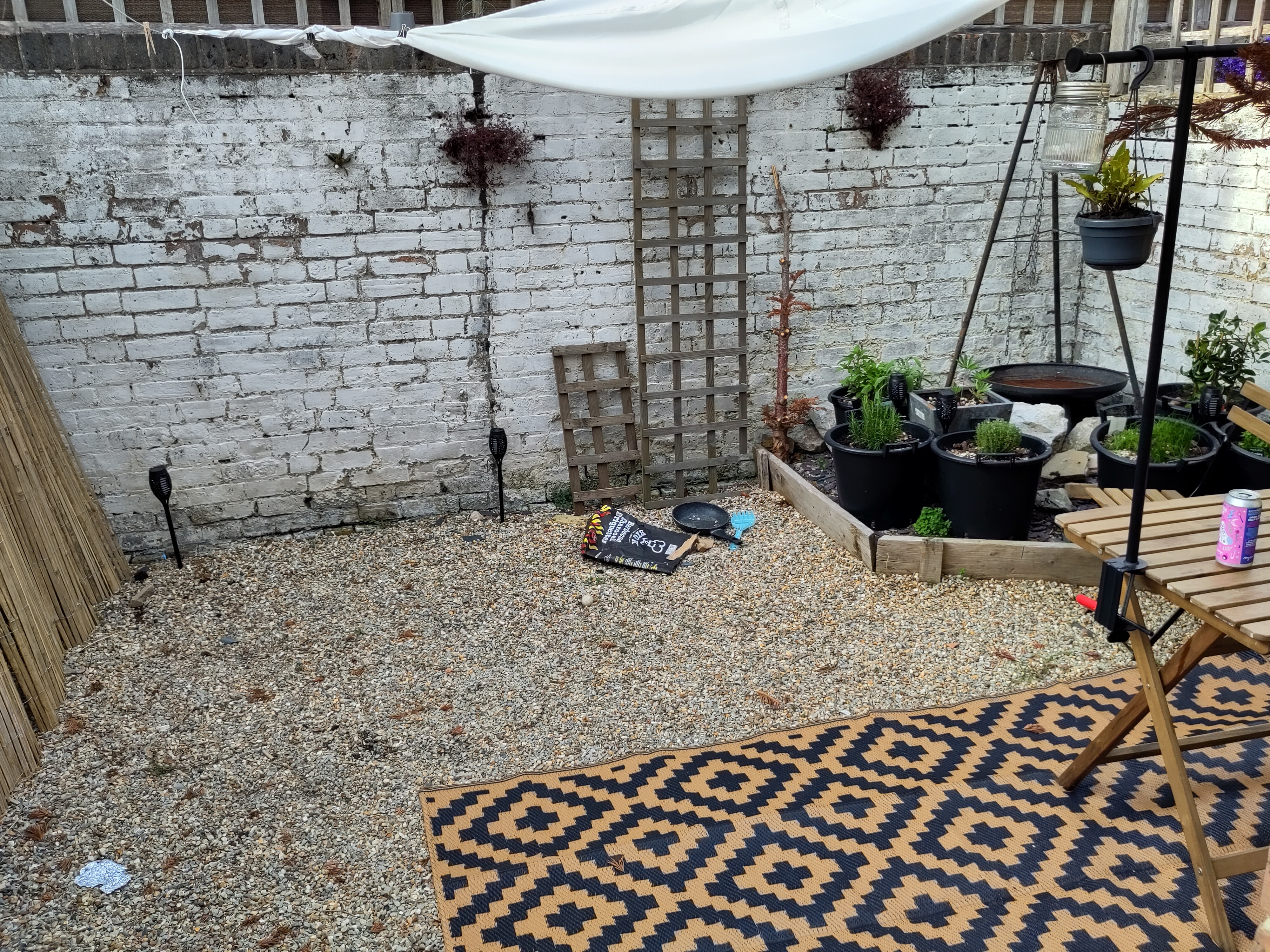 sage, rosemary, thyme, parsley, calamondin