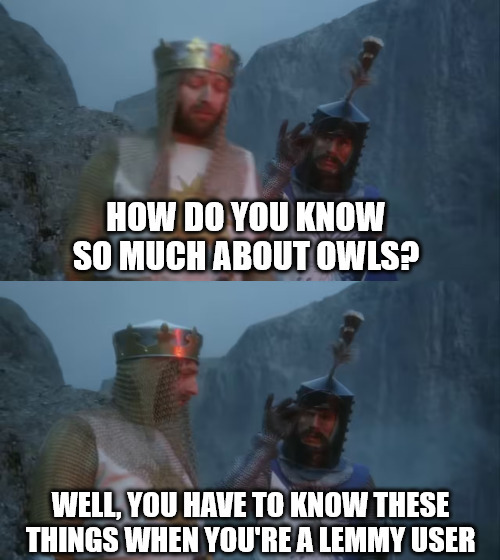 How do you know so much about owls? Well, you have to know these things when you're a lemmy user.