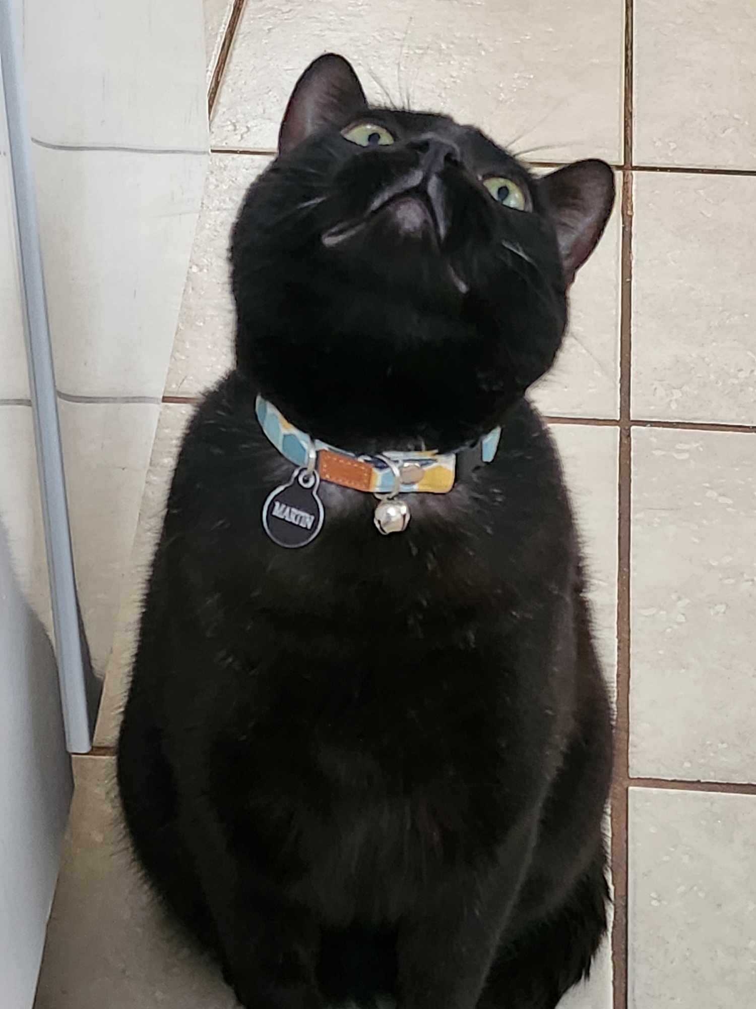 Martin says "happy Halloweem!" 