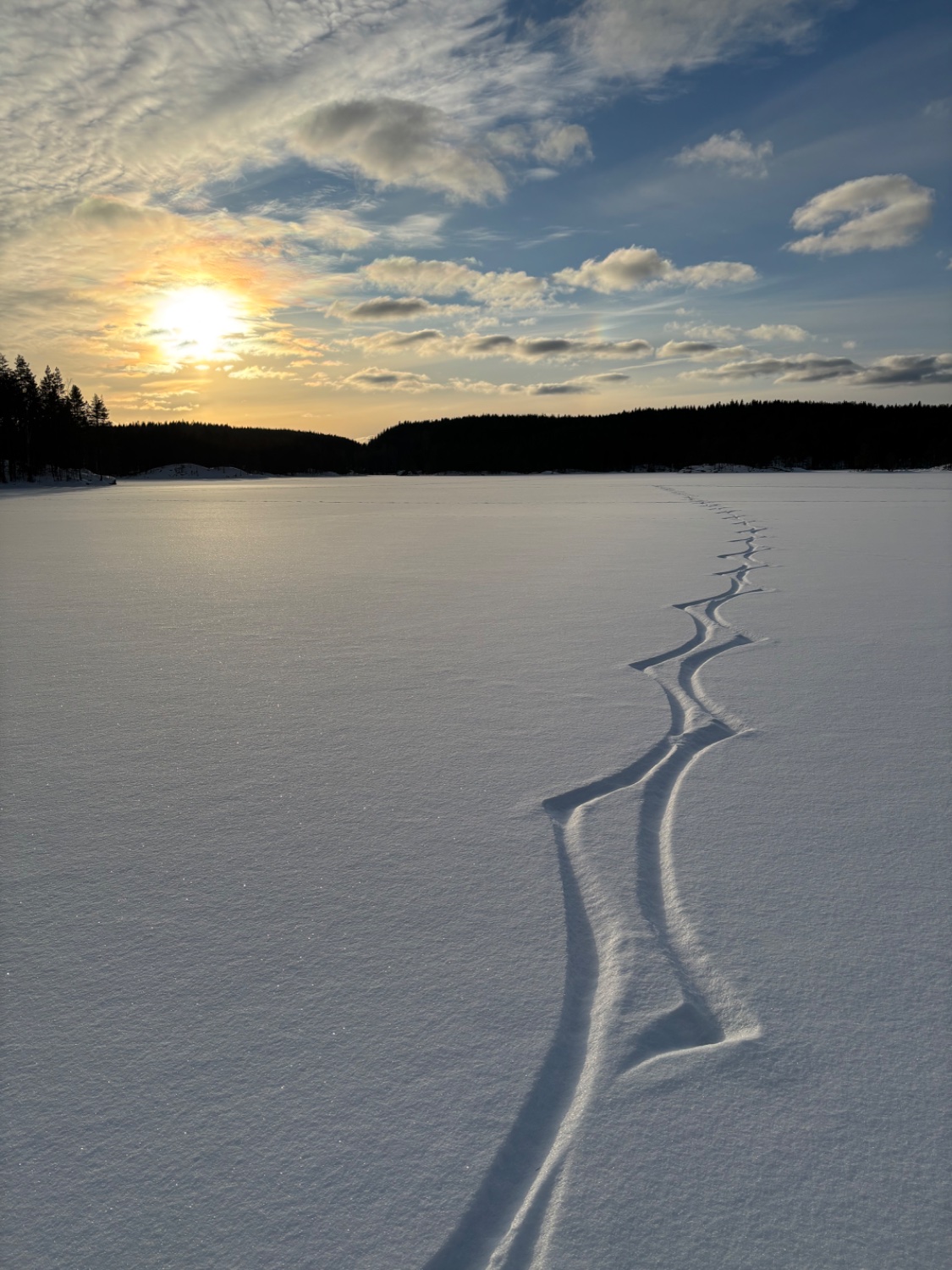 a frozen lake, a bleak sky with a weak sun, tracks from a ice skater, dark forest line 