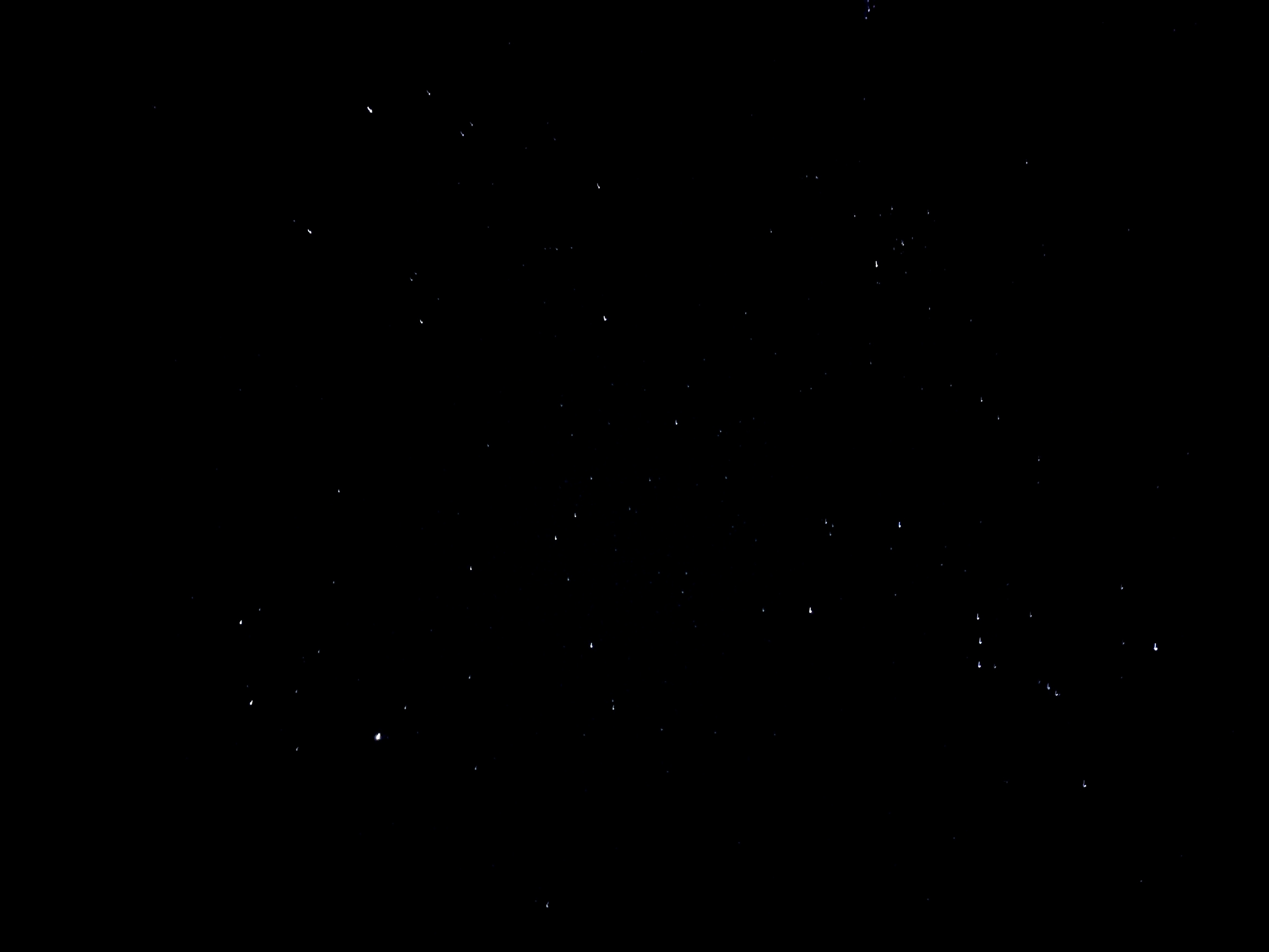 night sky, no moon, stars only