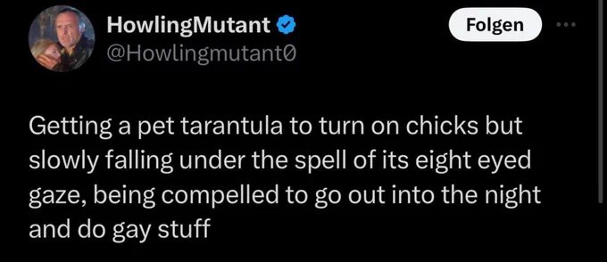HM: I got a pet tarantula to turn on chicks but I slowly fell unddr the spell of its eight eyed gaze, and was compelled to go out into the night and do gay stuff