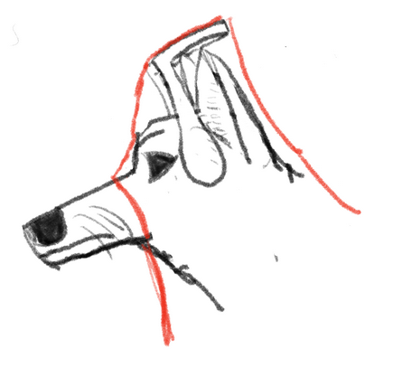 rigid band holding cloth above the ears