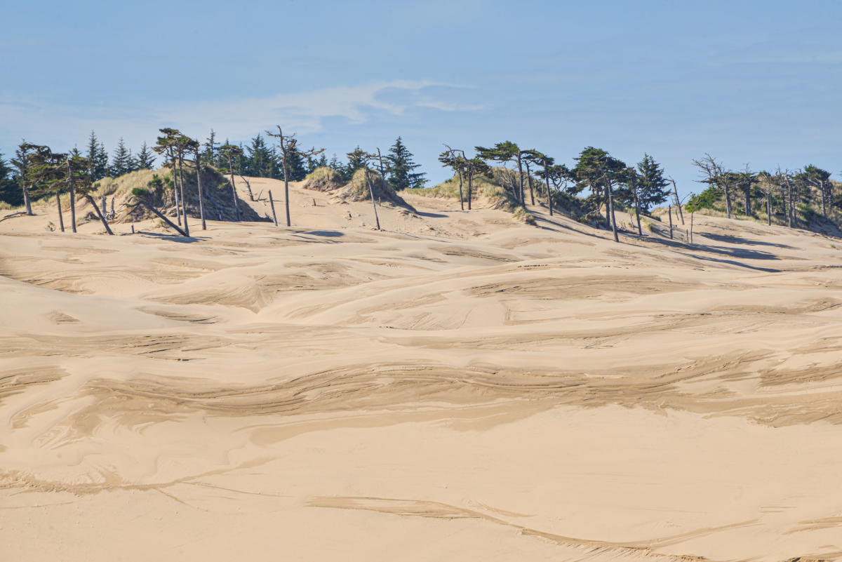 Sand