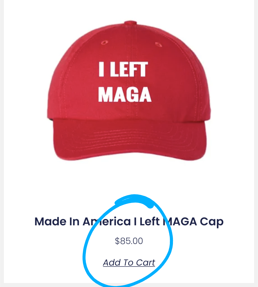 A "I left MAGA" hat for $85. The text is a default font in MsPaint and it's not even centered on the hat. It's not just not embroidered, it's not even on the hat. It's a badly edited image. Eighty five dollars for this by the way.