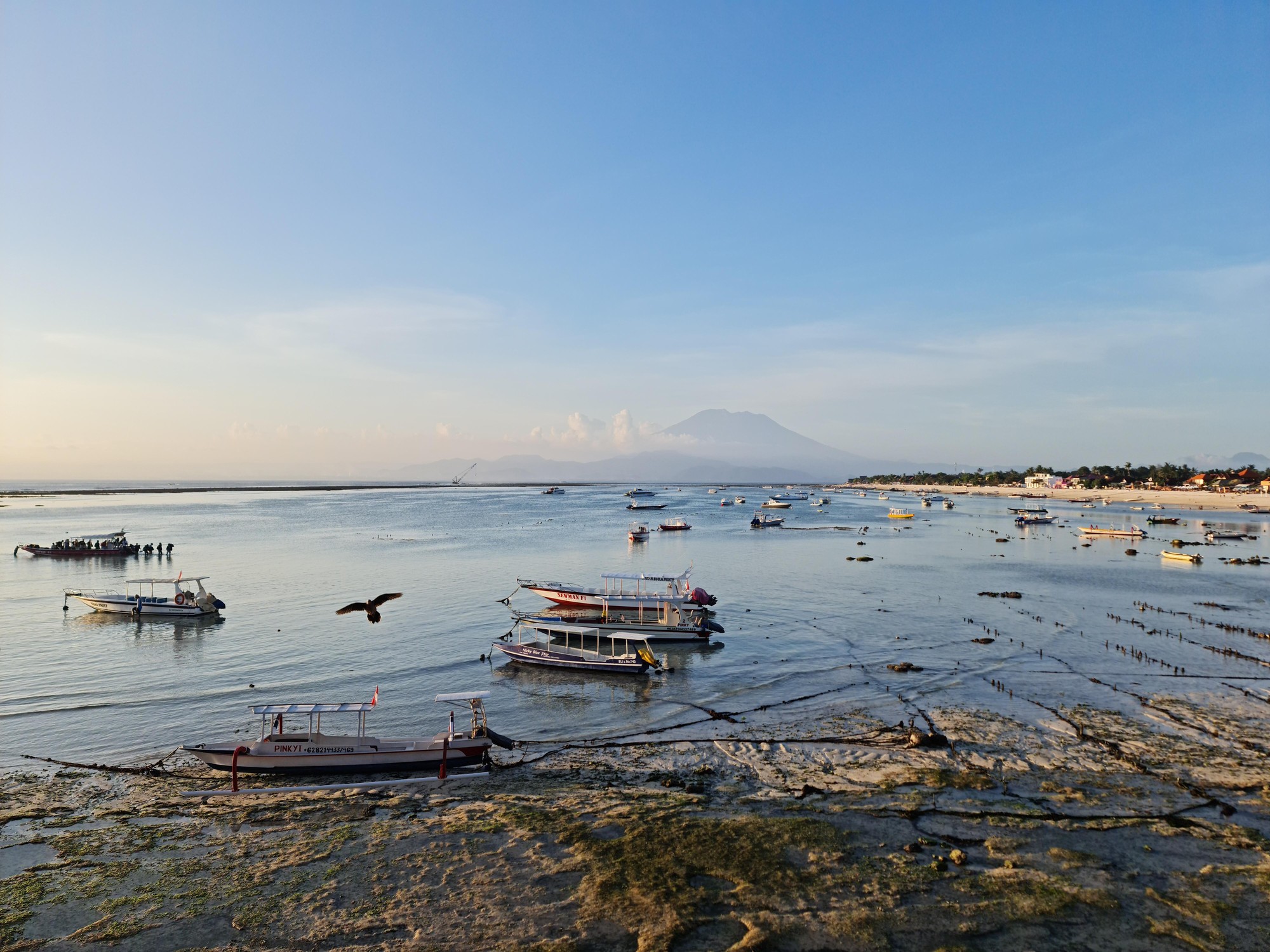 boats