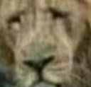 F8WEQ3PxvcjqXPx.png