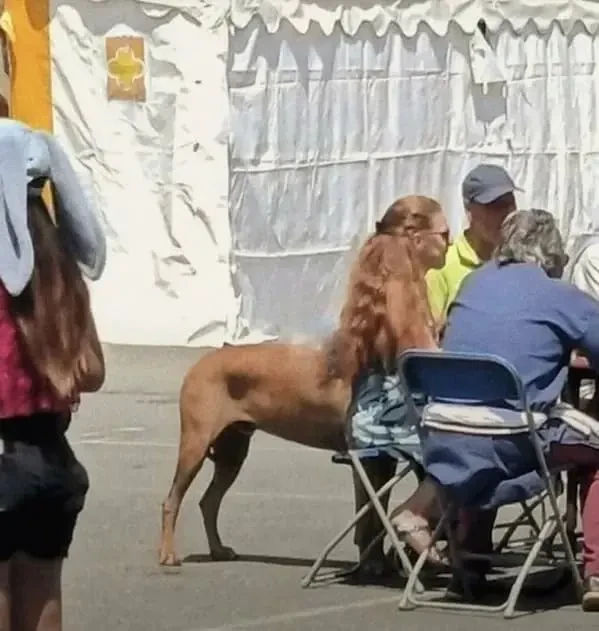 Hmmm