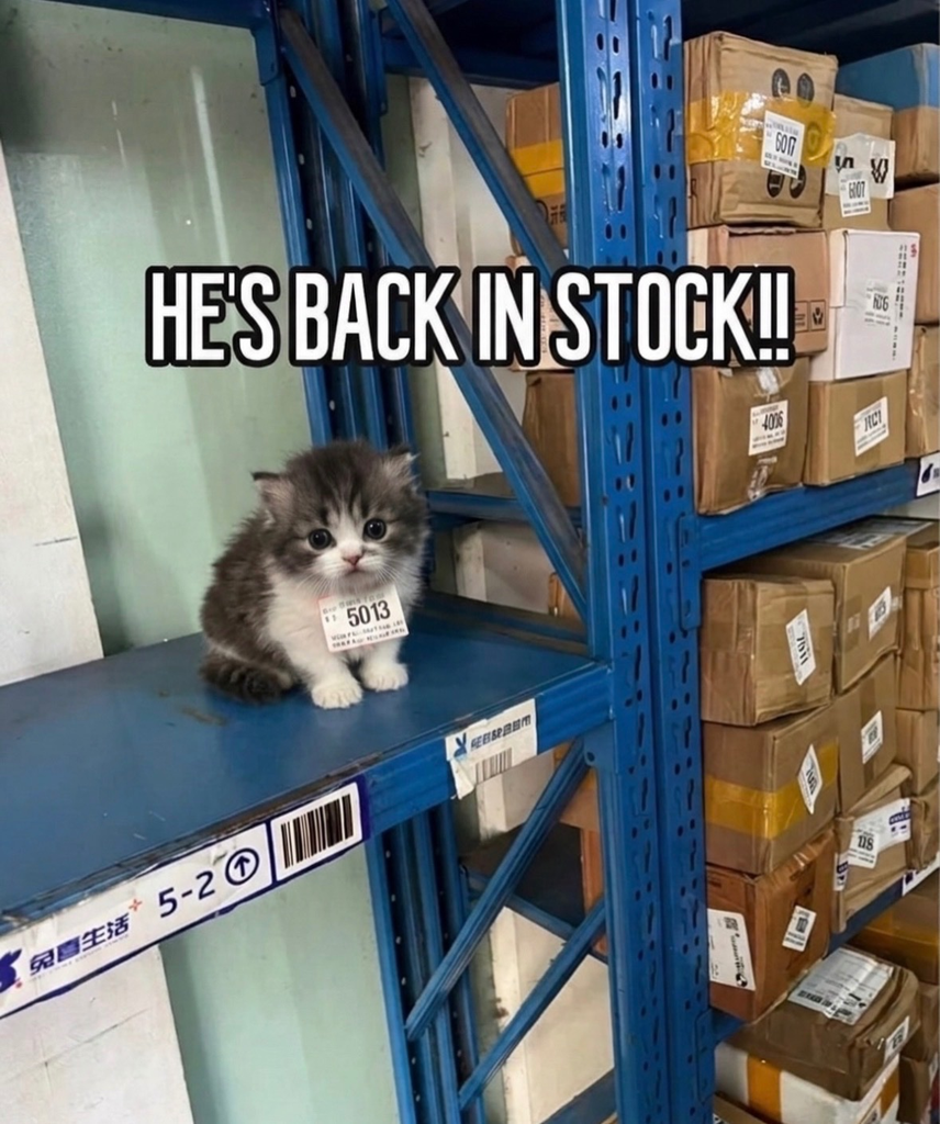 Oh noes