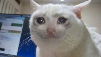 cat with tears in their eyes :(