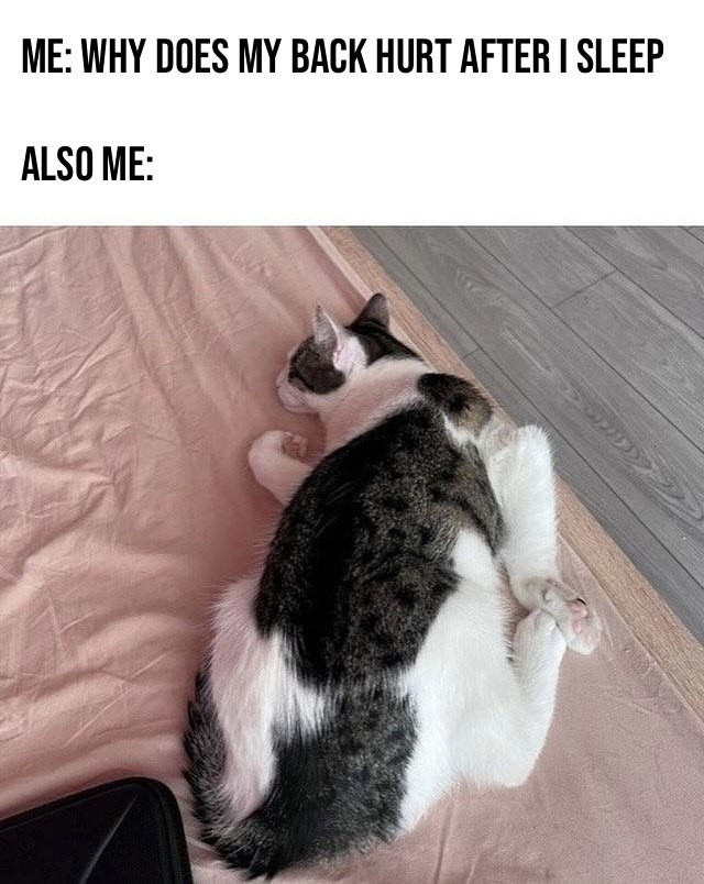 WtfIsThat pose