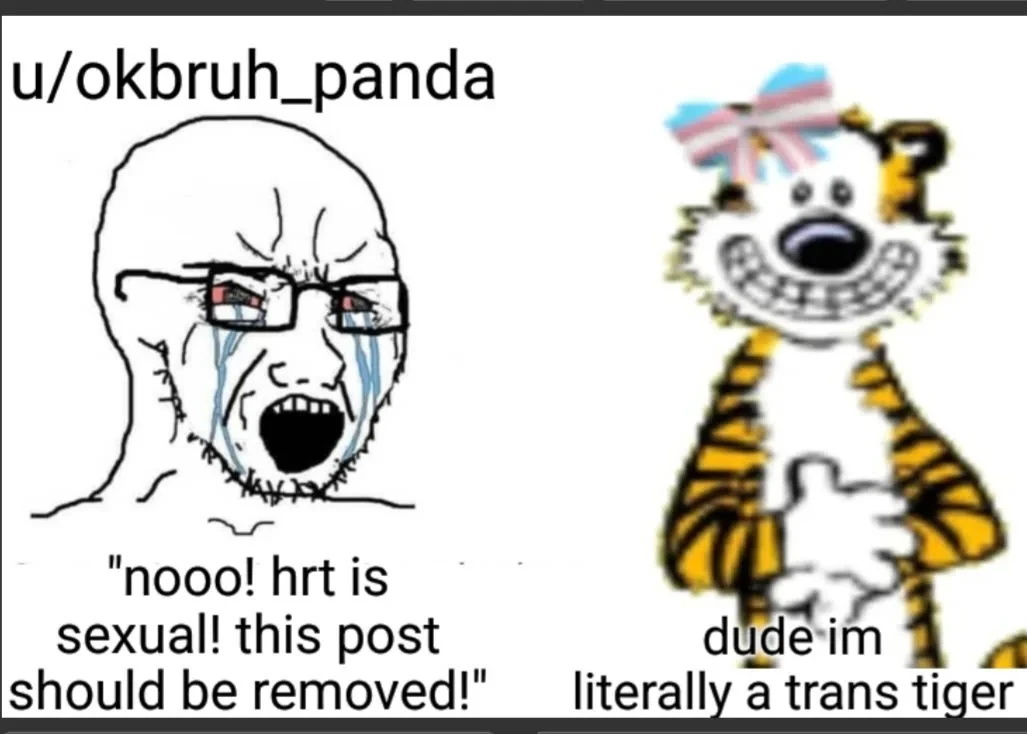 Imagine getting so pressed about gender identity you remove a shitpost where calvin transitions into a tiger