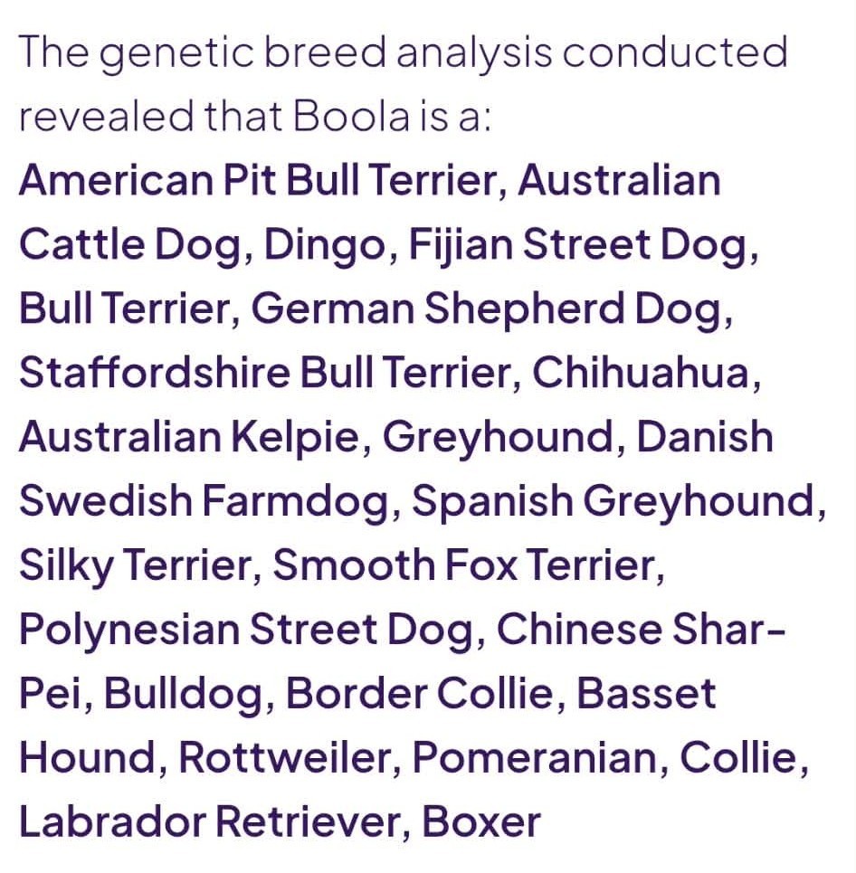 We did a DNA test on our rescue pup and got some... Interesting results.