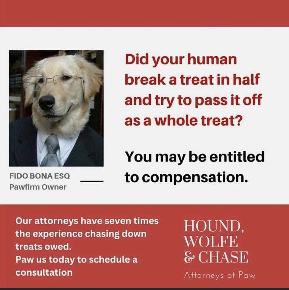 An advertisement for "Hound, Wolfe & Chase" "Attorneys at Paw". It shows an image of a dog wearing glasses and a suit and tie, labeled "FIDO BONA ESQ Pawfirm Owner" and some text. "Did your human break a treat in half and try to pass it off as a whole treat? You may be entitled to compensation." There's also "Our attorneys have seven times the experience chasing down treats owed. Paw us today to schedule a consultation"