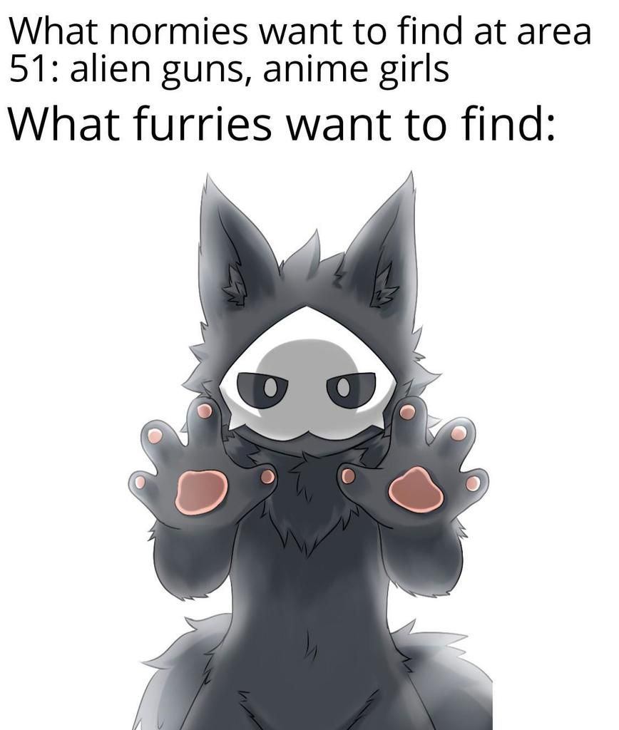 Image of Puro showing his paws with the text above saying "What normies want to find at area 51: alieb guns, anime girls", "What furries want to find :" 