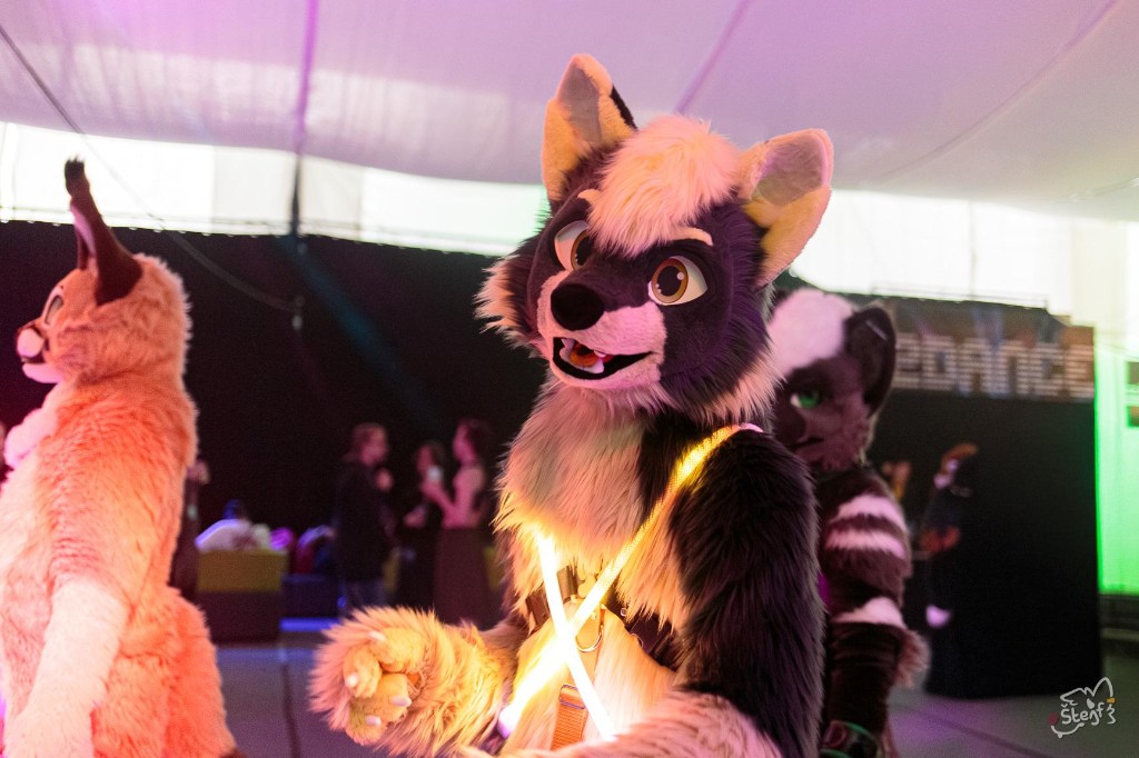 Photo of a purple and yellow dog fursuit, in a room with two other fursuits behind