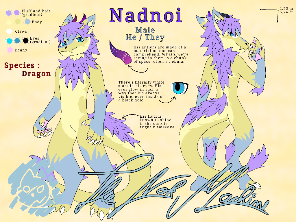 Refsheet for Nadnoi, a male dragon fursona of 1,75 m tall. 