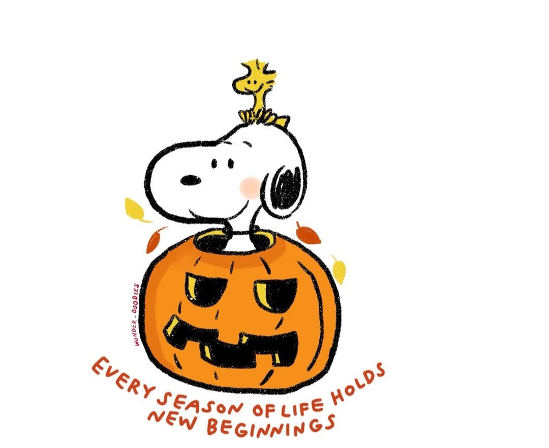 Snoopy in a pumpkin says every season of life holds new beginnings 