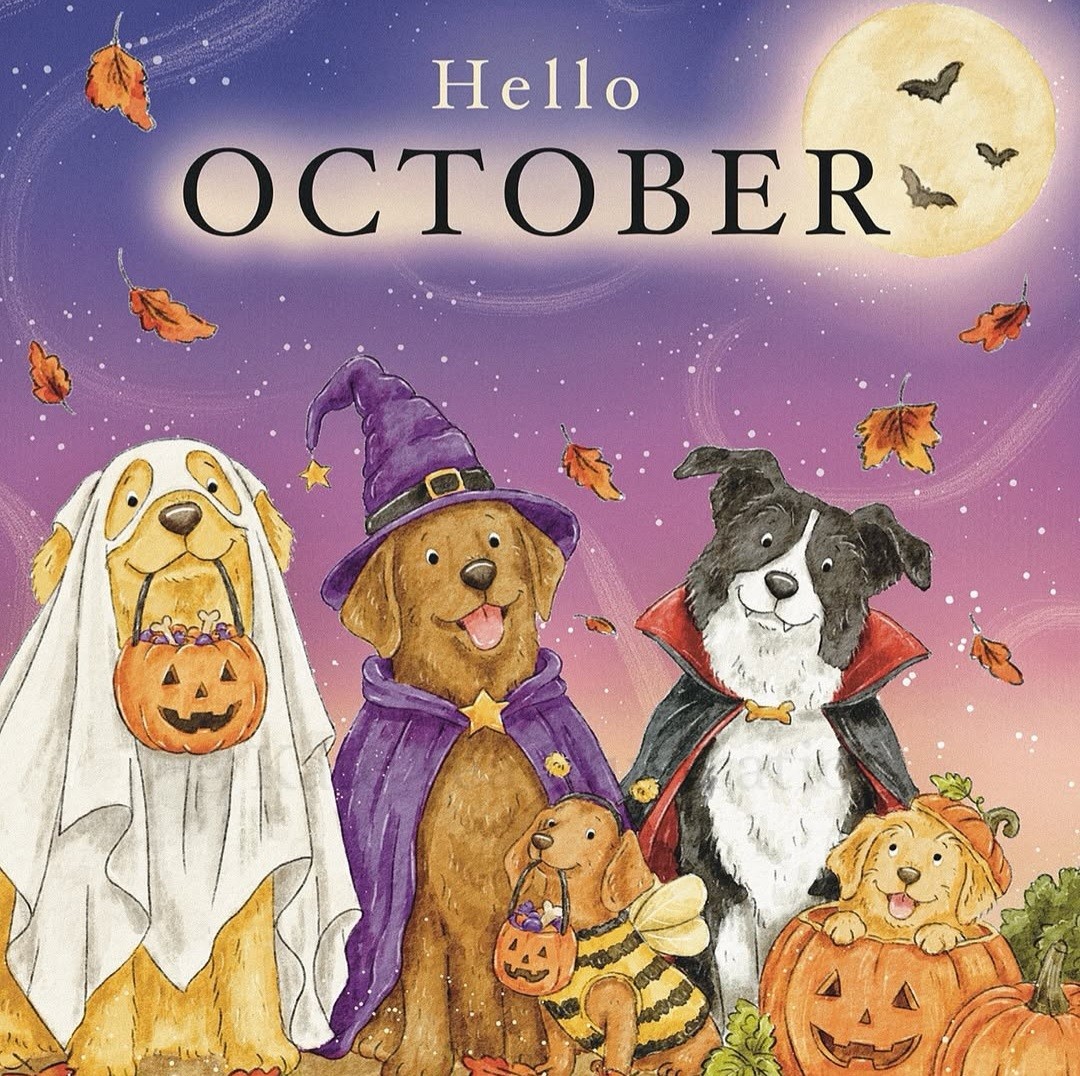 Lab, sheepdog and retriever in halloween costumes says "hello october"