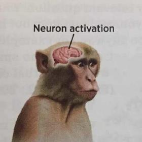 neuron activation