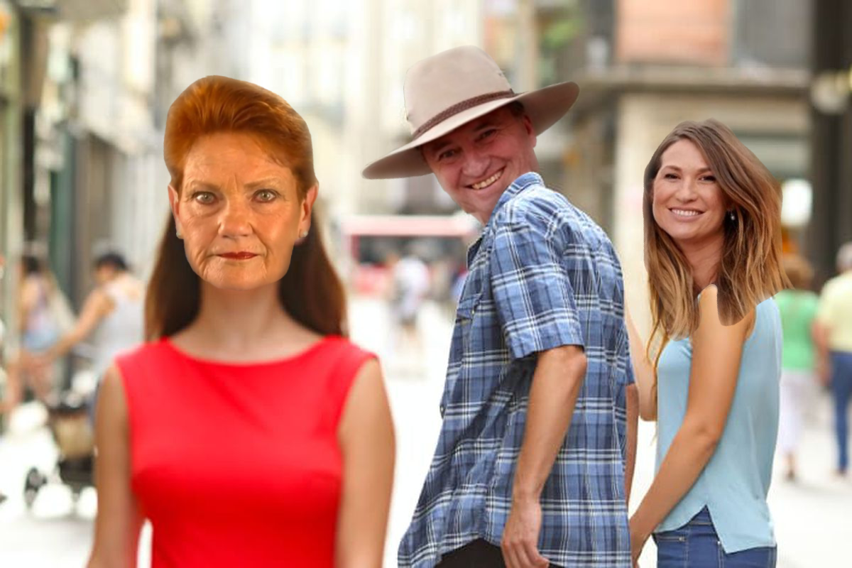 AusPol, Australia, Politics, barnaby joyce, affair, pauline hanson, one nation, nationals, cheater