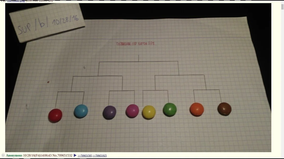 M&M tournament photo