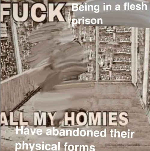 Fuck being in a flesh prison. All my homies have abandoned their physical forms